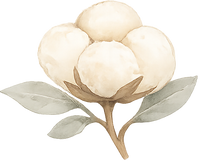Organic Cotton